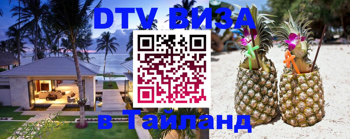 Оформление DTV визы под ключ: стоимость и тарифы, только загранпаспорт - 09.01.2026 